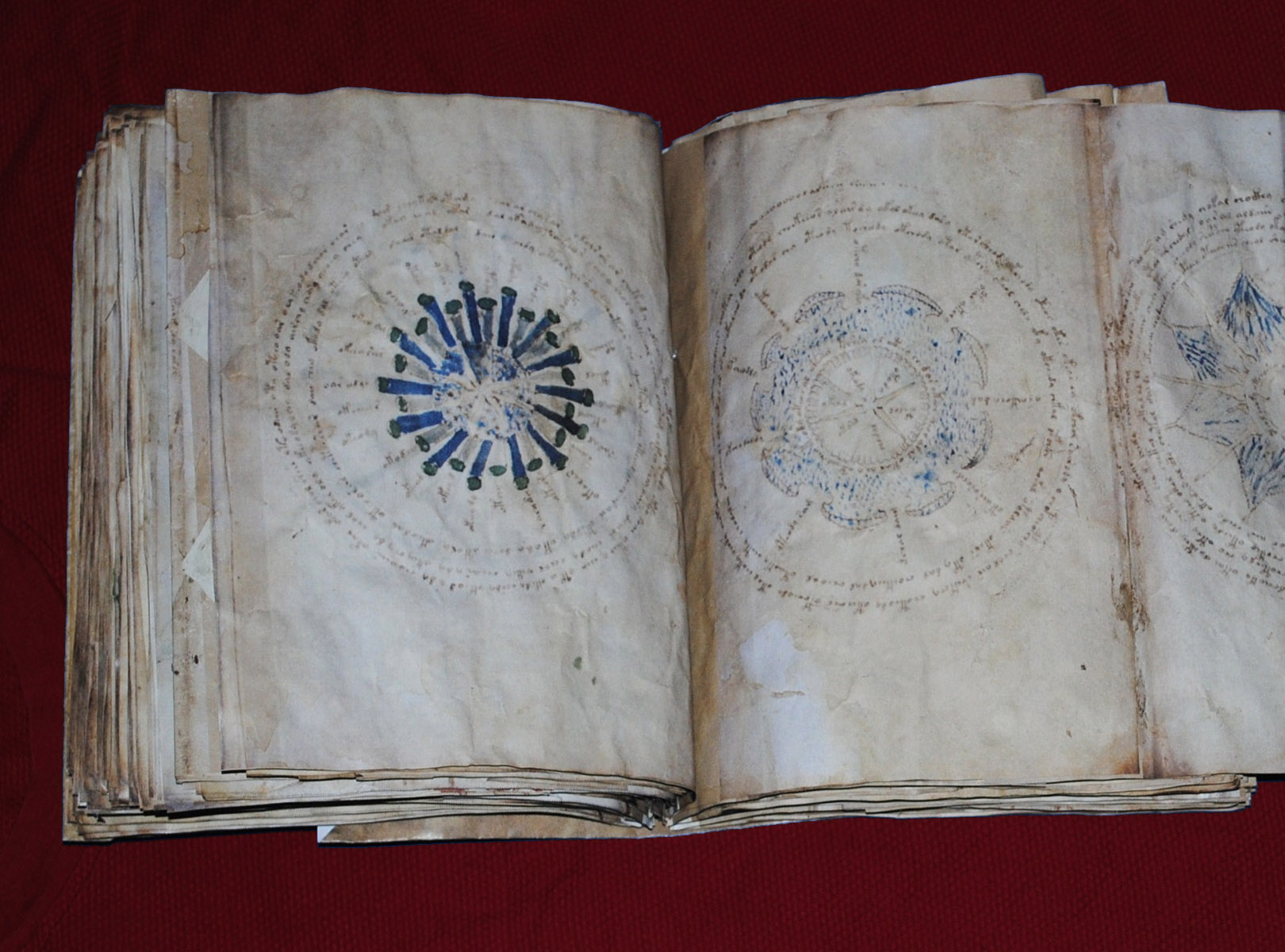 Mistério Manuscrito Voynich